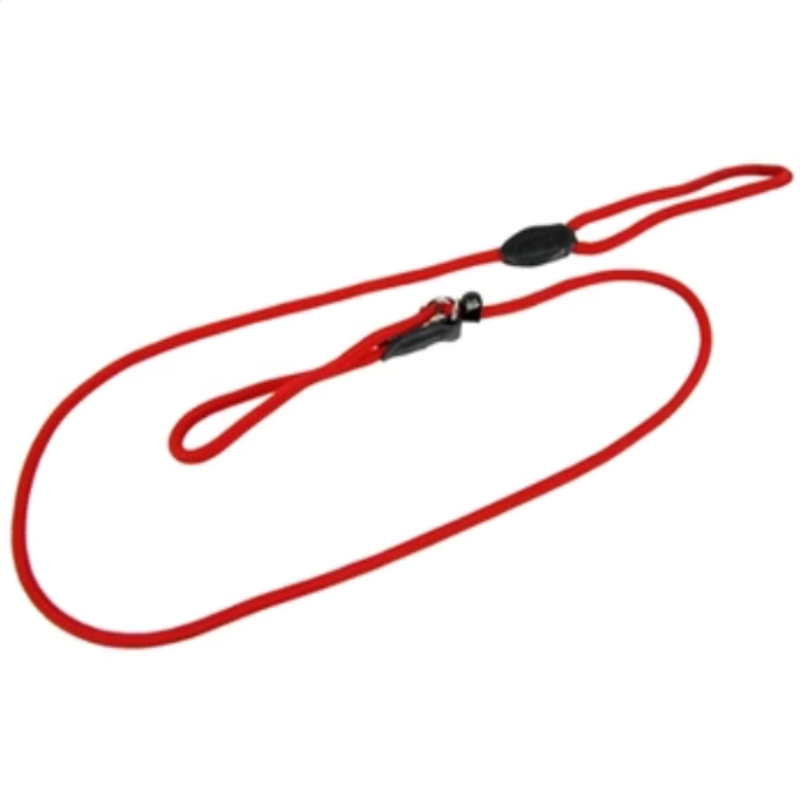 Hundeleine mit Halsband Rot